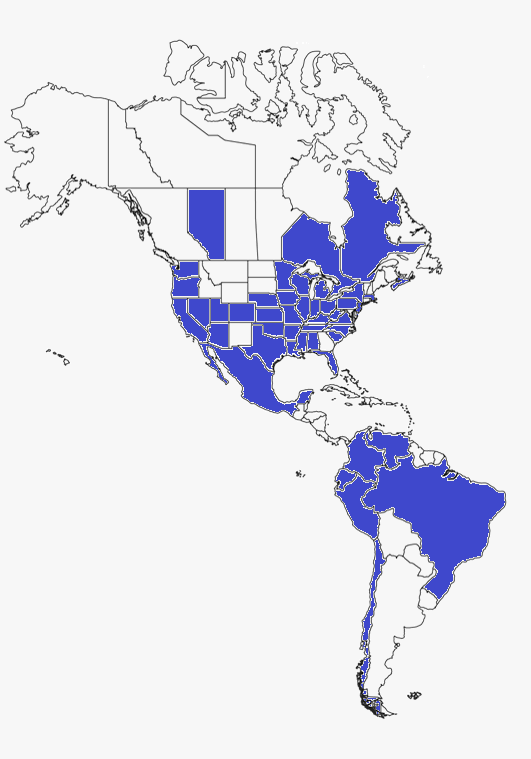 CIC Pgh Around the Globe